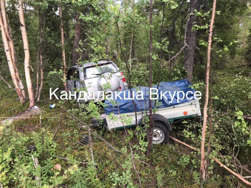 Врезалась в дерево машина с прицепом на трассе Кандалакша - Умба Врезалась в дерево машина с прицепом на трассе Кандалакша - Умба