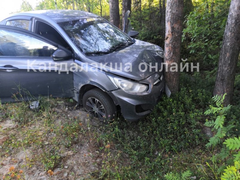 «Впечаталась» в сосну иномарка на трассе Кандалакша - Умба «Впечаталась» в сосну иномарка на трассе Кандалакша - Умба