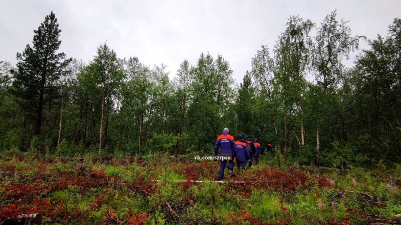 Мертвой в лесу нашли пенсионерку в Туломе