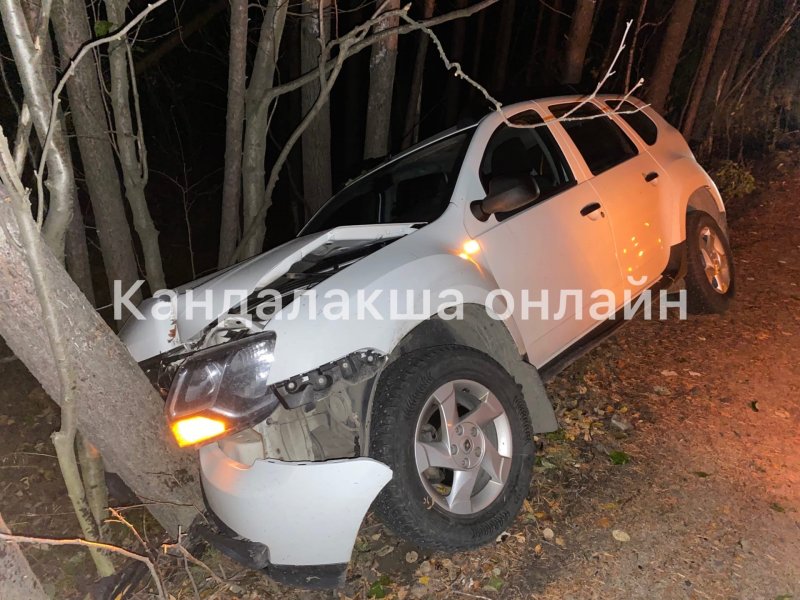 Протаранил дерево кроссовер в Кандалакше Протаранил дерево кроссовер в Кандалакше