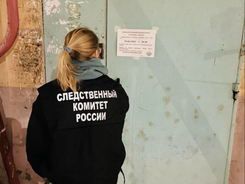 Брат убил брата: на 8 лет посадили в тюрьму жителя Североморска