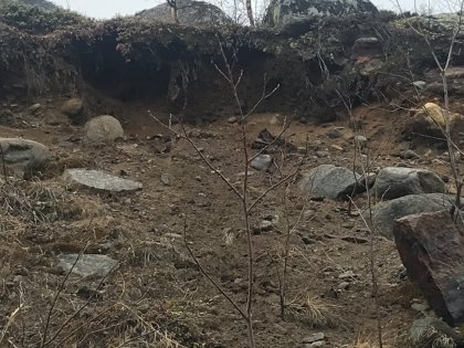 Булыжник изуродовал машину в Коле