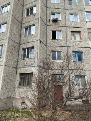 Белка забралась на третий этаж дома в Ковдоре Белка забралась на третий этаж дома в Ковдоре