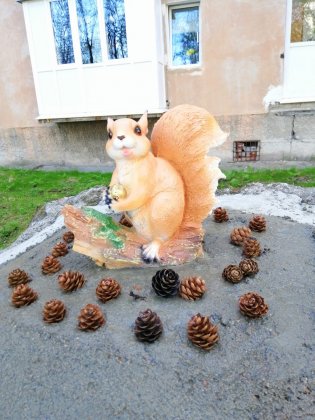 На смену разбитому коту пришла белка в Коле На смену разбитому коту пришла белка в Коле