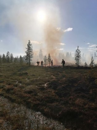 Торфяной пожар тушили в Никельском лесничестве
