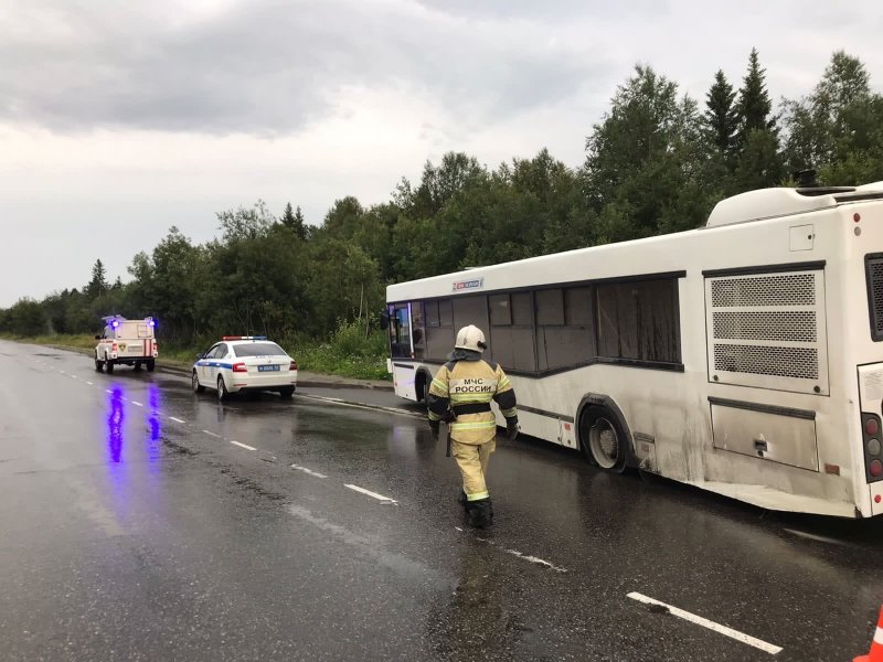 Пьяный водитель рейсового автобуса устроил аварию в Апатитах Пьяный водитель рейсового автобуса устроил аварию в Апатитах