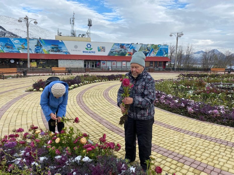 Букеты цветов раздавали прохожим в Кировске Букеты цветов раздавали прохожим в Кировске