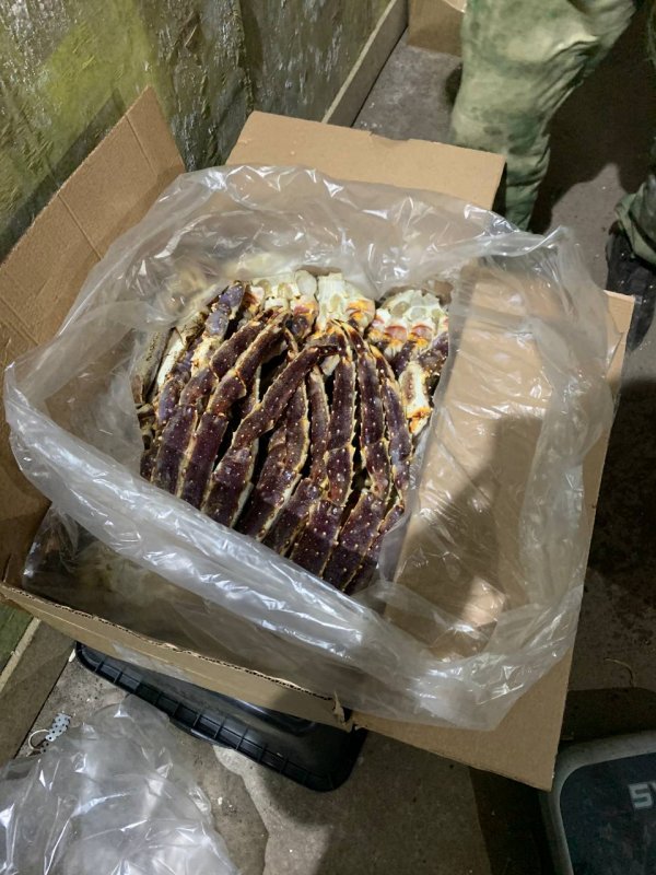 Кустарный крабовый цех обнаружили в Кольском районе Кустарный крабовый цех обнаружили в Кольском районе
