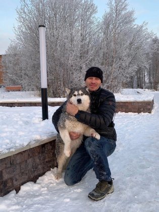 Хаски провалился под лед озера Имандра Хаски провалился под лед озера Имандра