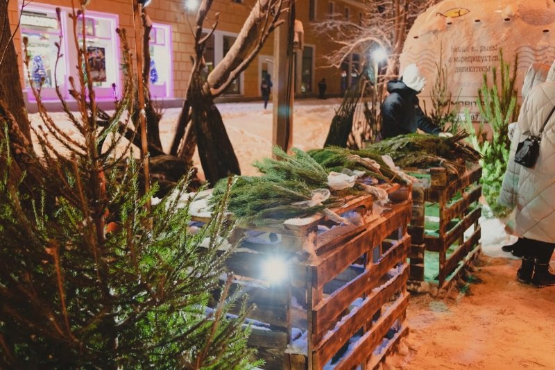 Елочные базары открылись в Мурманске