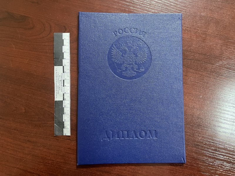 Педагог 12 лет работал по поддельному диплому: суд вынес приговор в Мончегорске
