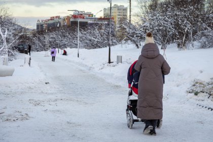 Мокрый снег не прекратится в Мурманской области в ближайшие дни Мокрый снег не прекратится в Мурманской области в ближайшие дни