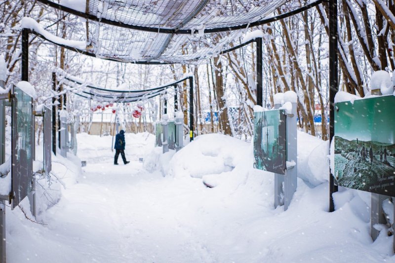 До -20° опустится температура в Мурманской области До -20° опустится температура в Мурманской области