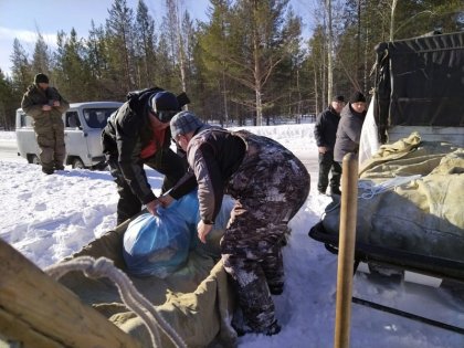 50 тысяч молоди семги выпустили под лед в реку Умбу