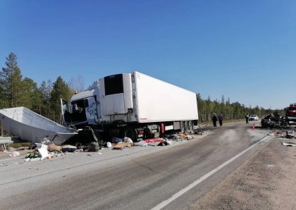 Сгорели ребенок и двое взрослых в машине с мурманскими номерами Сгорели ребенок и двое взрослых в машине с мурманскими номерами