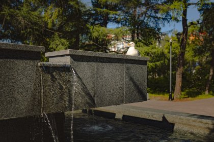 Жара не спадет в ближайшие дни в Мурманской области Жара не спадет в ближайшие дни в Мурманской области