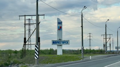 В бедро ребенку вцепилась собака в Мончегорске В бедро ребенку вцепилась собака в Мончегорске