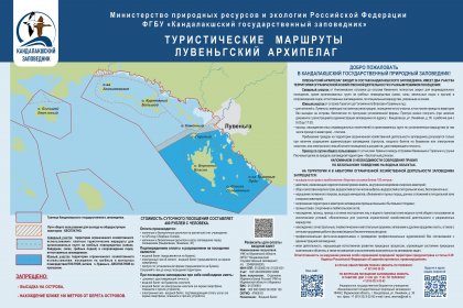 Погибли из-за сапсерферов пять птенцов краснокнижной казарки в Кандалакше Погибли из-за сапсерферов пять птенцов краснокнижной казарки в Кандалакше