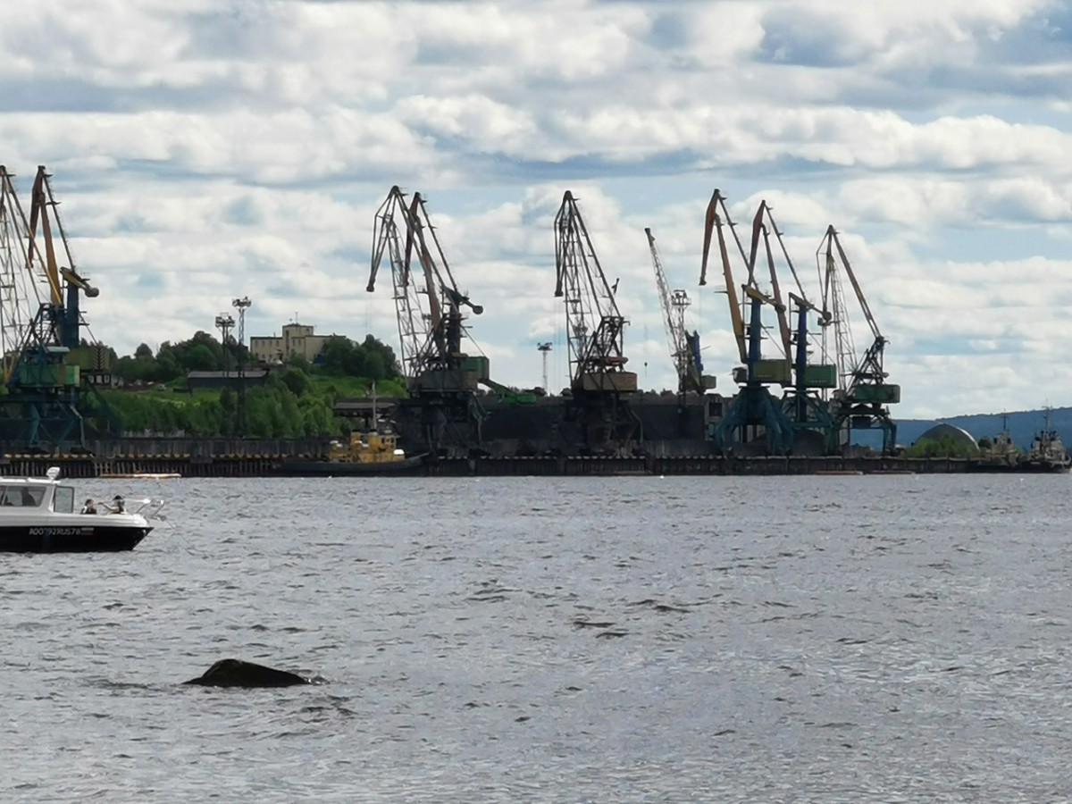В Кандалакше закрыли порт Витино В Кандалакше закрыли порт Витино