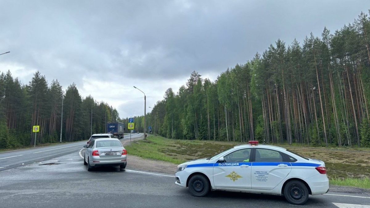 Мурманский водитель попался скрытому патрулю ГАИ за выезд на «встречку» в Карелии