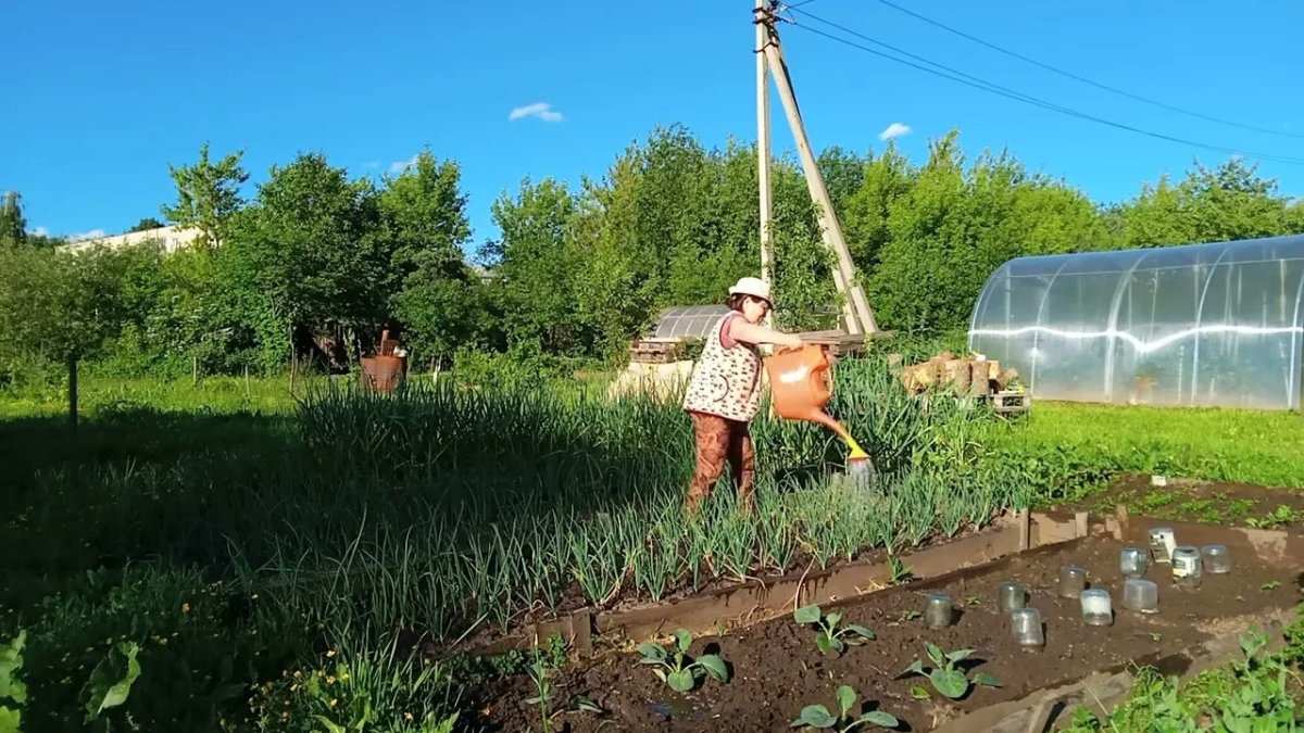 Девушка поливает огород