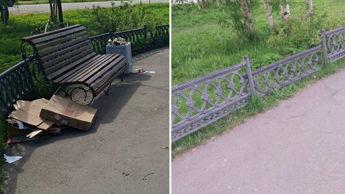Беспорядок в аллее Туломы