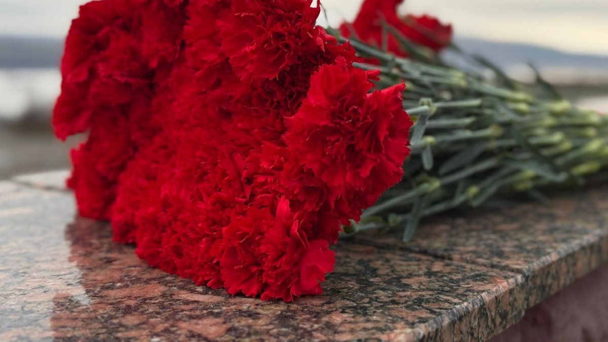 Несколько красных гвоздик