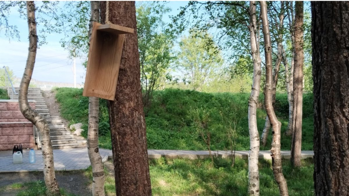 Сломанная кормушка в Ревде