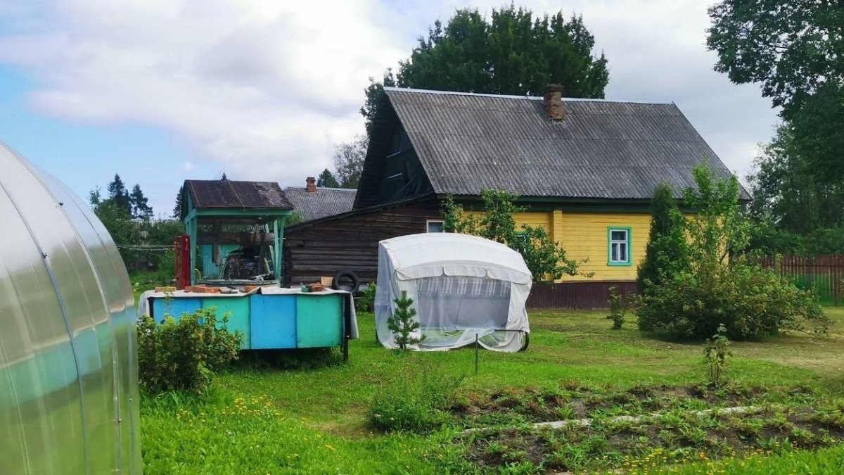 Дачный домик посреди летней зелени