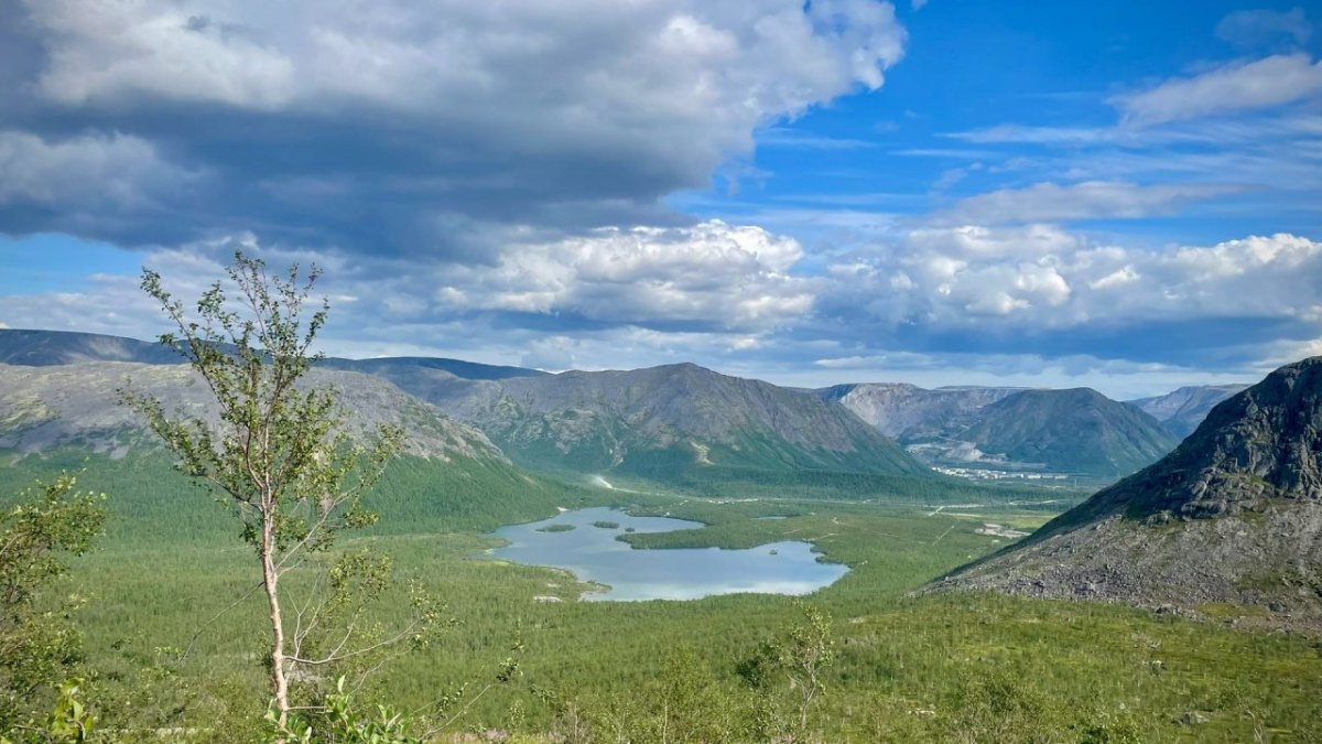 ПАБСИ летом