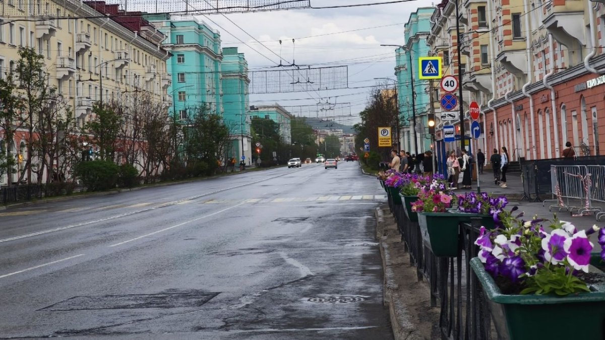 Клумба с цветами на фоне дороги и домов в городе летом