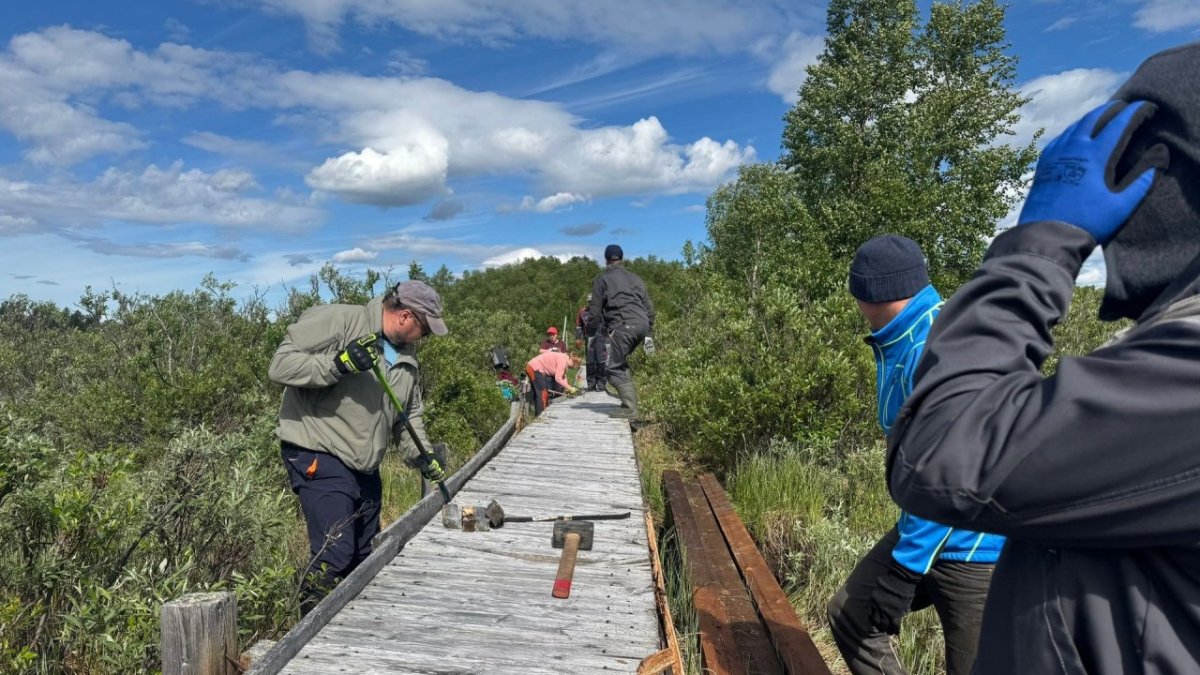 Строительство моста в «Пасвике»