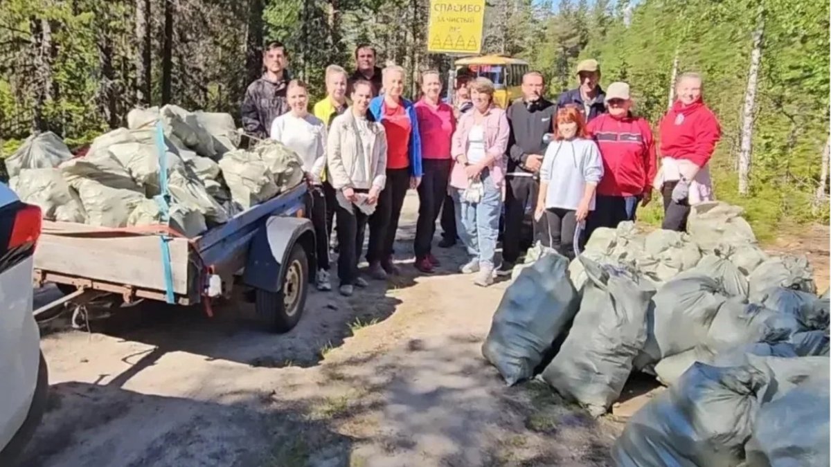 Экологический субботник в лесу