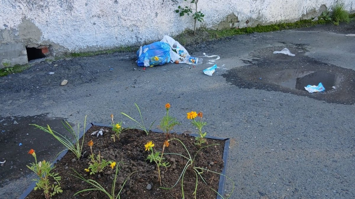 Мусор лежит на асфальте в палисаднике возле дома