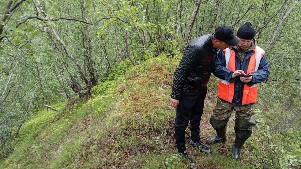 Двое мужчин стоят посреди леса летом и смотрят в экран мобильного телефона