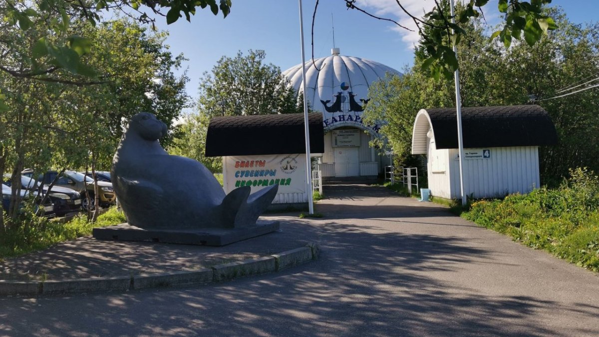 Океанариум в Мурманске
