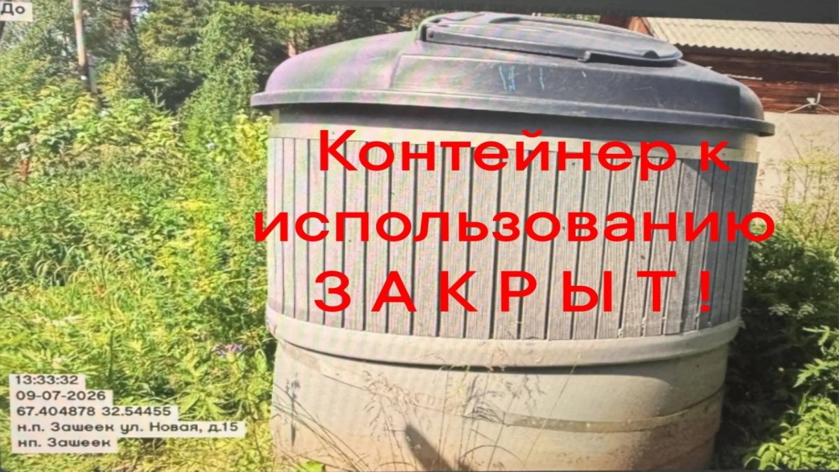 Мусорный бак закрытого типа на фоне зелени летом