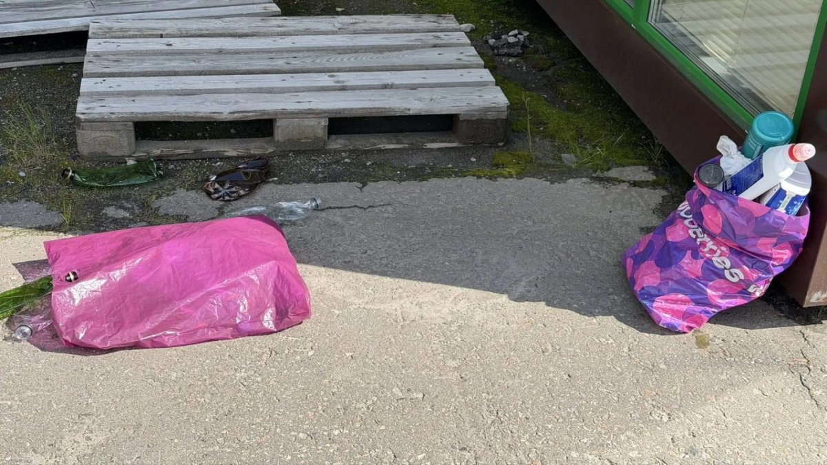 Два пакета с мусором лежат возле двери летом