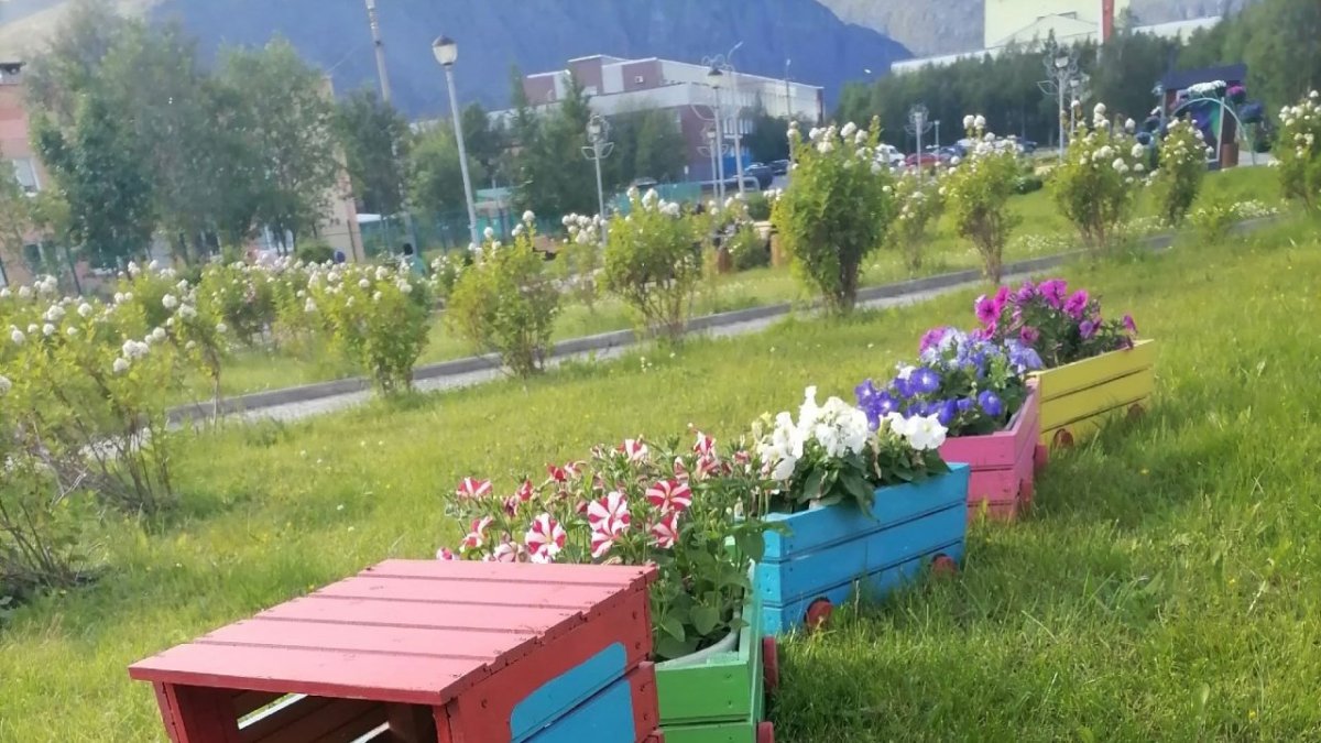 Озеленение Кировска