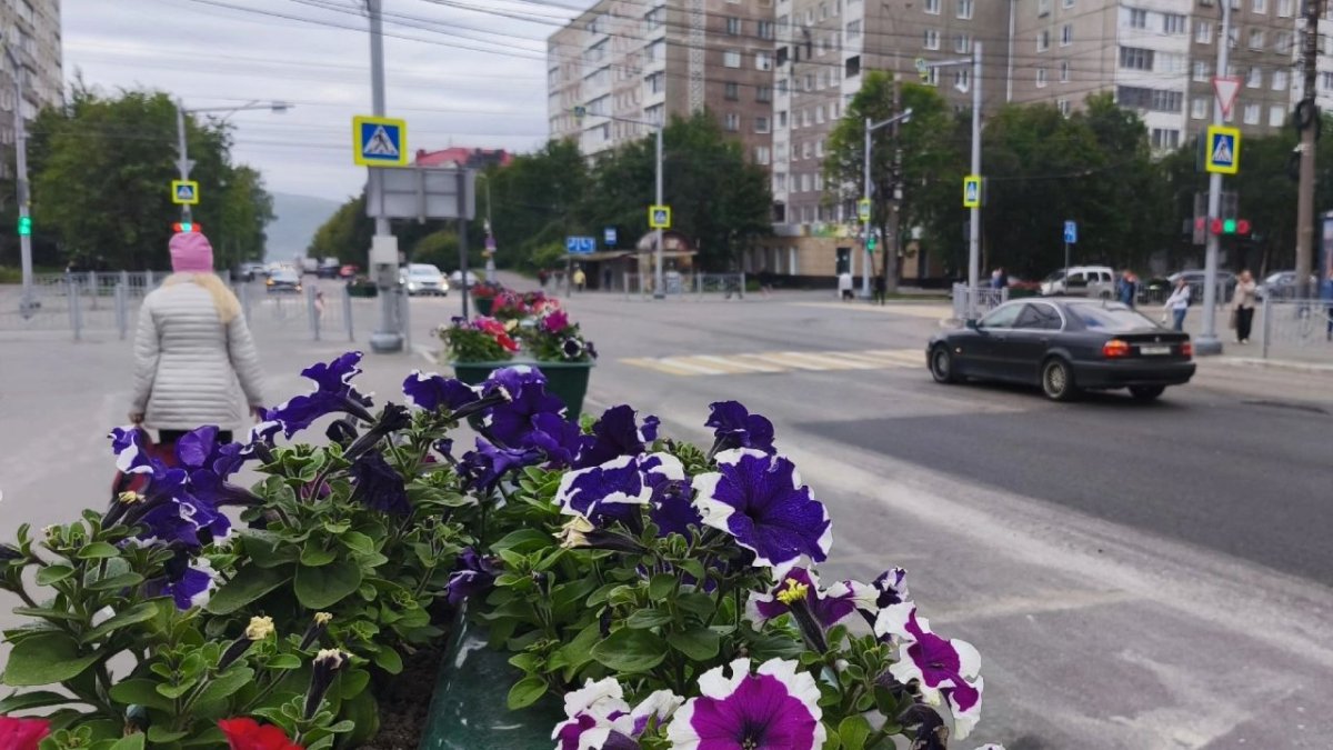 Цветы в вазоне на фоне городской улицы и пешеходов летом