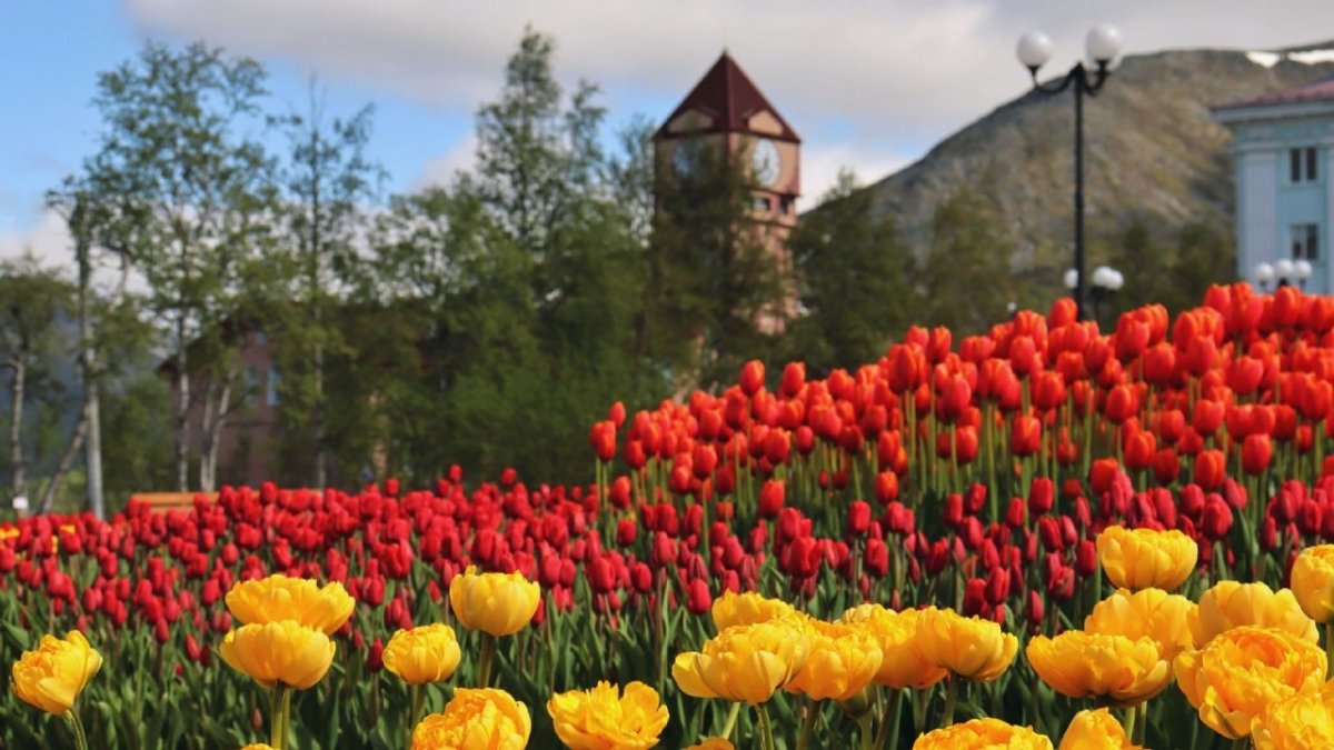 Кировск летом