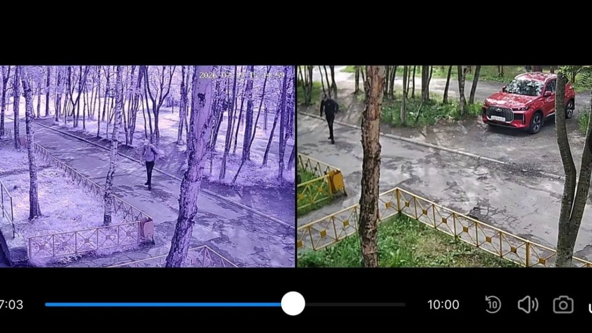 Фотографии с камеры видеонаблюдения с изображением мужчины на улицы