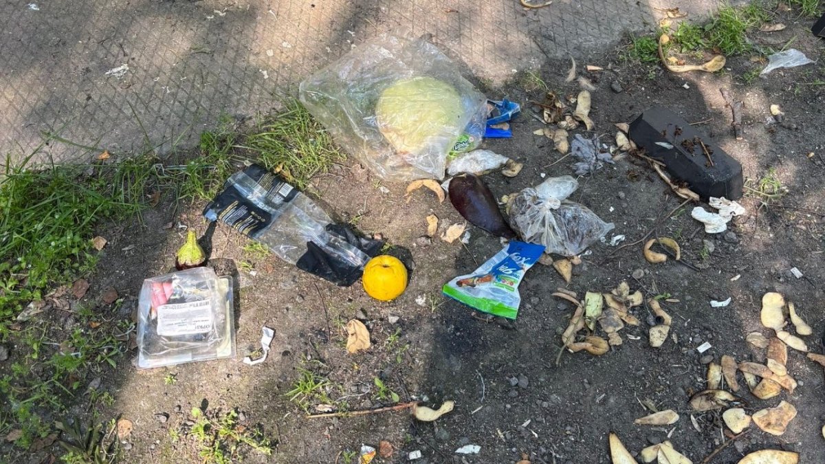 Различный мусор валяется на земле летом