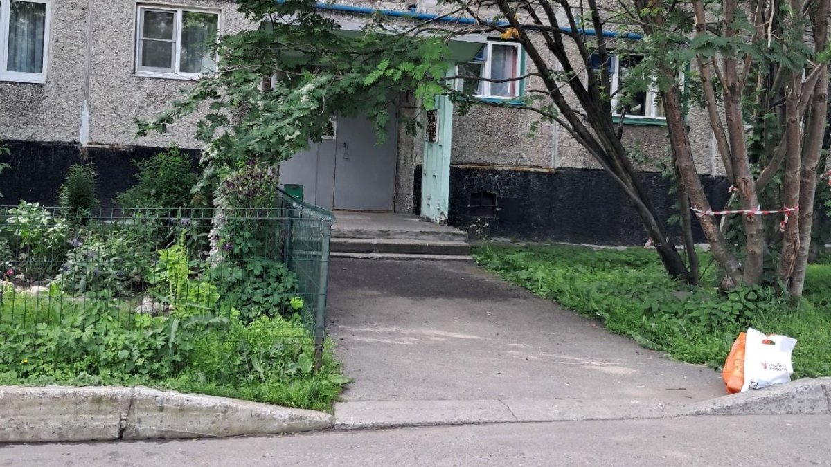 Рябина накренилась и повисла над ограждением возле жилого дома.