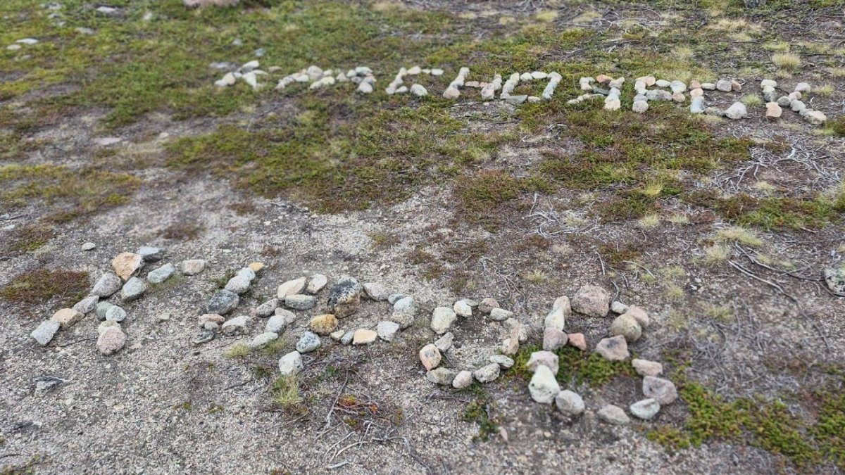 Названия городов выложенные из камней летом на траве и писке.