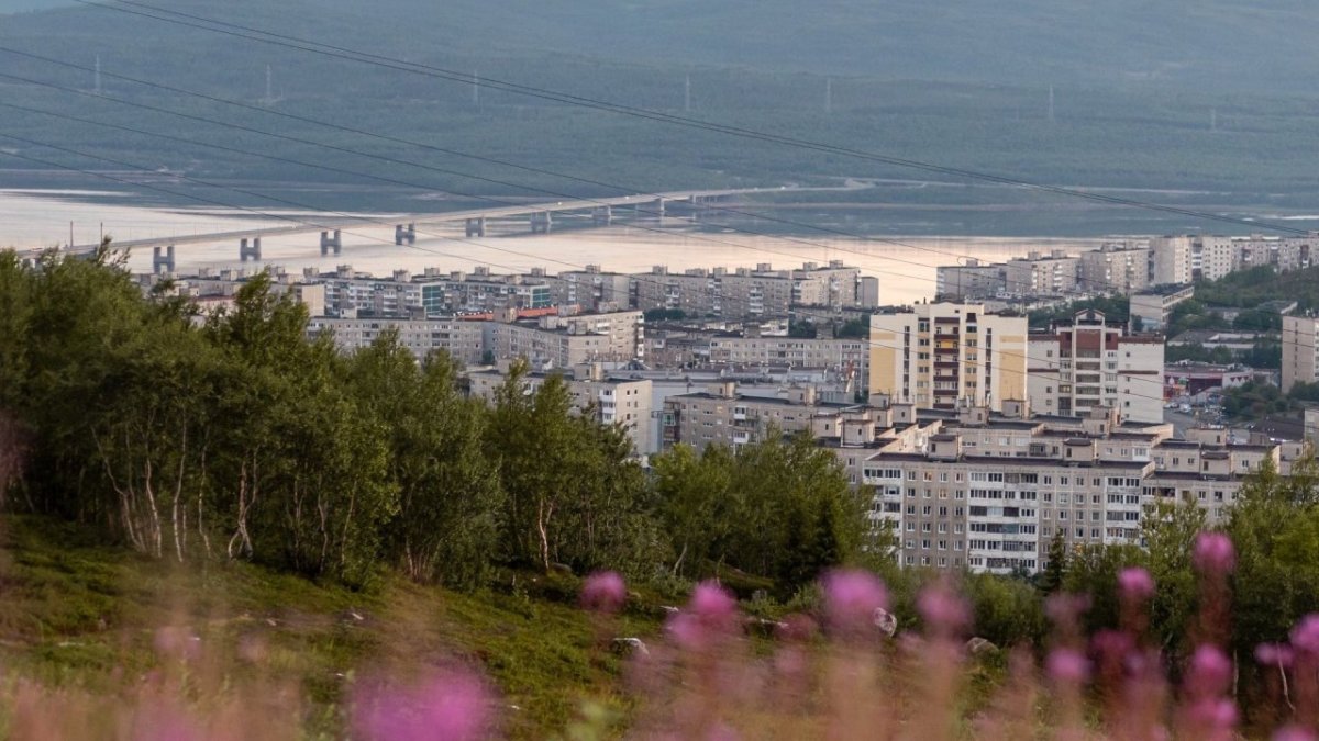 Цветущий иван-чай на фоне панорамы летнего города.
