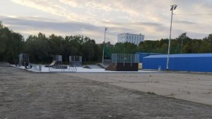 В Сафоново прокуратура начала проверку после обнаружения истерзанного тела собаки