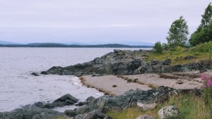 «Приближаться опасно»: у Кандалакши на побережье вышли моржи