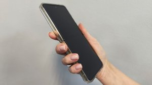 Мурманский Роспотребнадзор запустил горячую линию по безопасности школьных принадлежностей