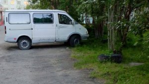 «Положите хоть бордюры или камни»: в Мурманске жильцы дома пытаются защитить деревья в палисаднике от машин